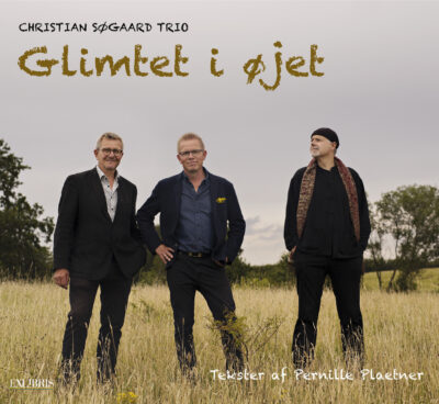 Christian Søgaard Trio – Glimtet i øjet