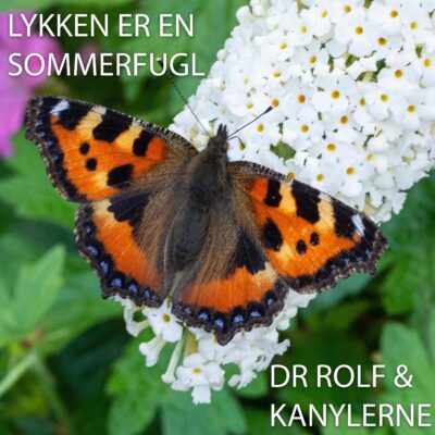 Dr. Rolf & Kanylerne – Lykken er en sommerfugl
